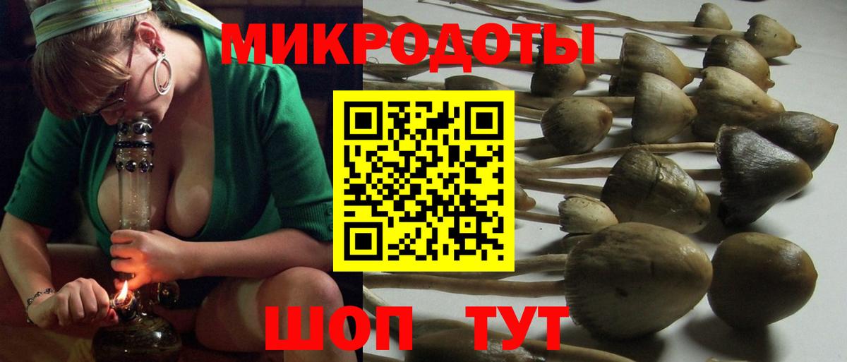 Галлюциногенные грибы Magic Shrooms  Вход с VPN  Славгород 